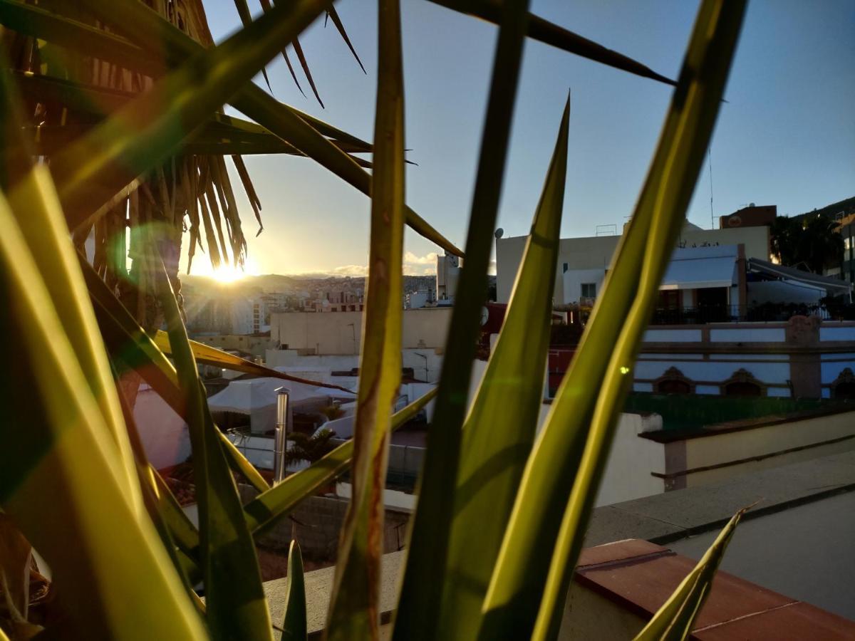 Terraza del Atlántico, un oasis en la ciudad Santa Cruz de Tenerife Exterior foto
